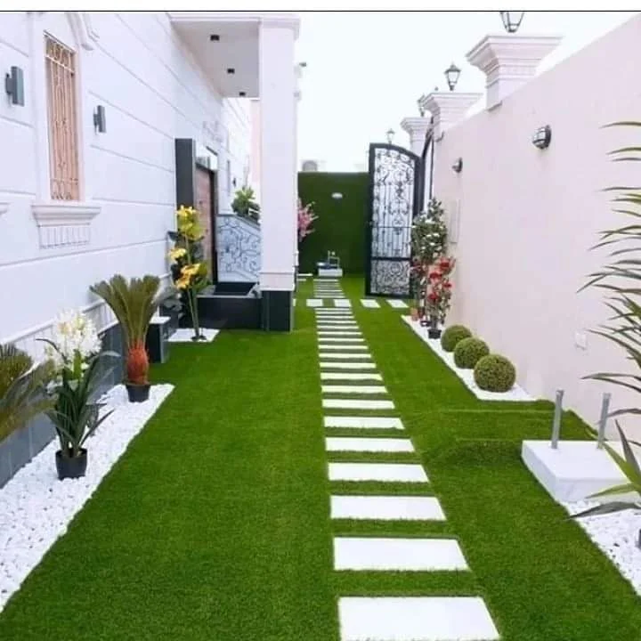 زراعة أشجار